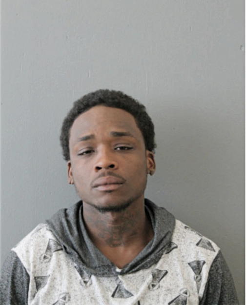 CHAHINE S YOUNGER, Cook County, Illinois