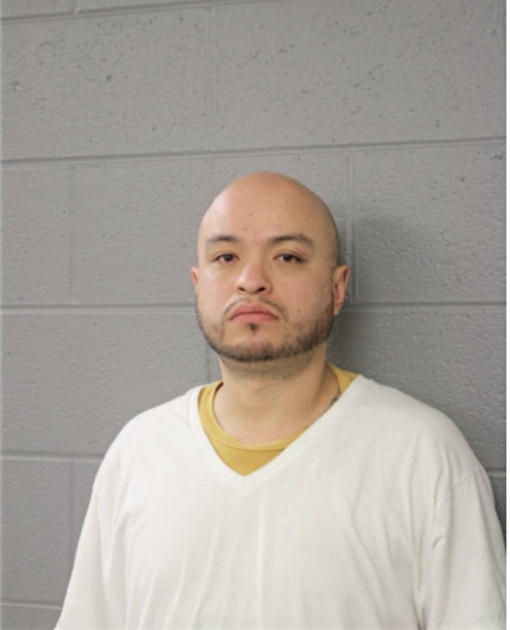 ERASMO ANDRADE, Cook County, Illinois