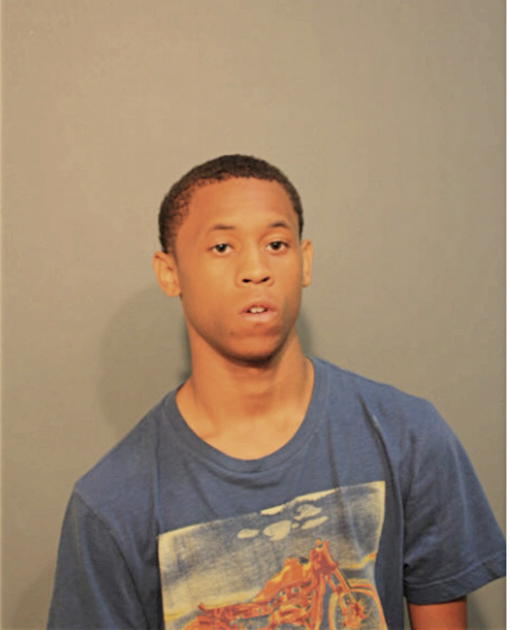 TIMOTHY E ANDREWS, Cook County, Illinois