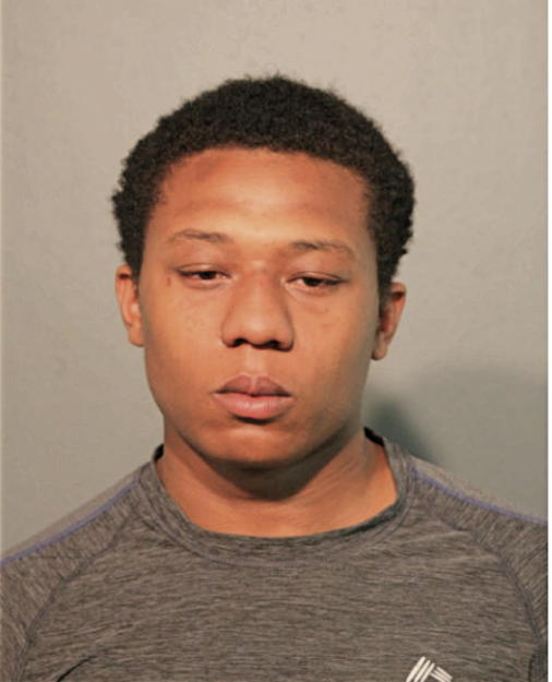 DONNIE L BELL, Cook County, Illinois