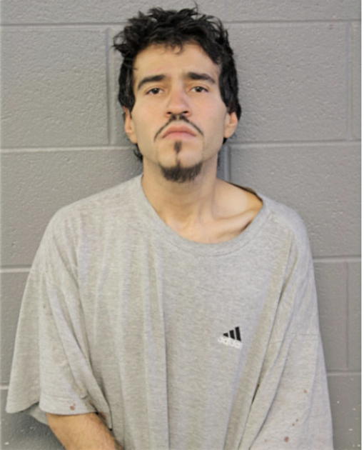 HEDILBERTO CORTEZ, Cook County, Illinois