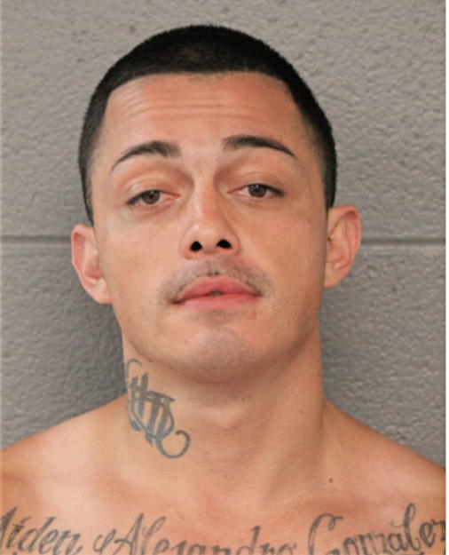 ALEJANDRO M GONZALEZ, Cook County, Illinois