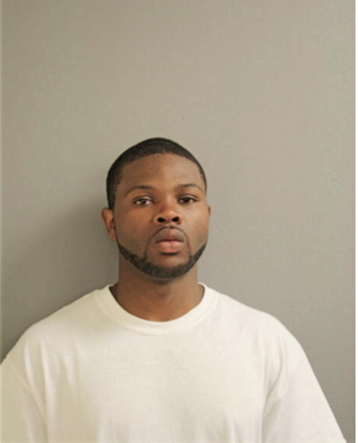 TERRANCE L HOLLINS, Cook County, Illinois