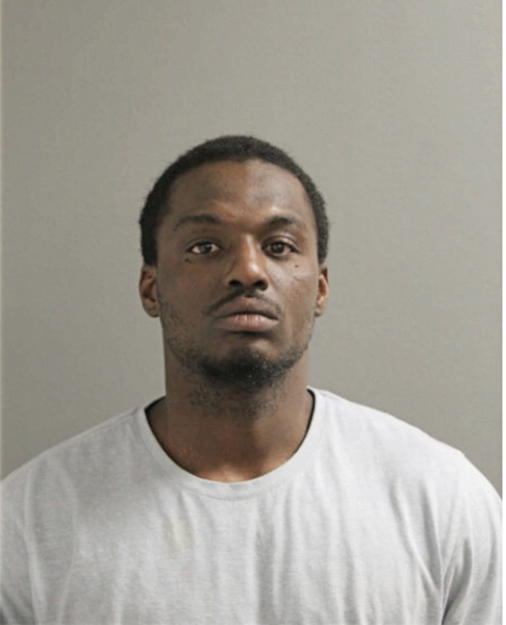 JAMES J JENKINS, Cook County, Illinois