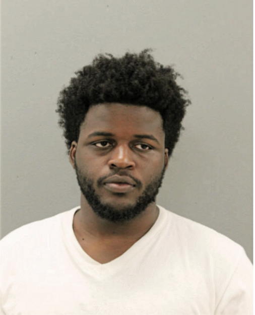 TERRELL M JOHNSON, Cook County, Illinois