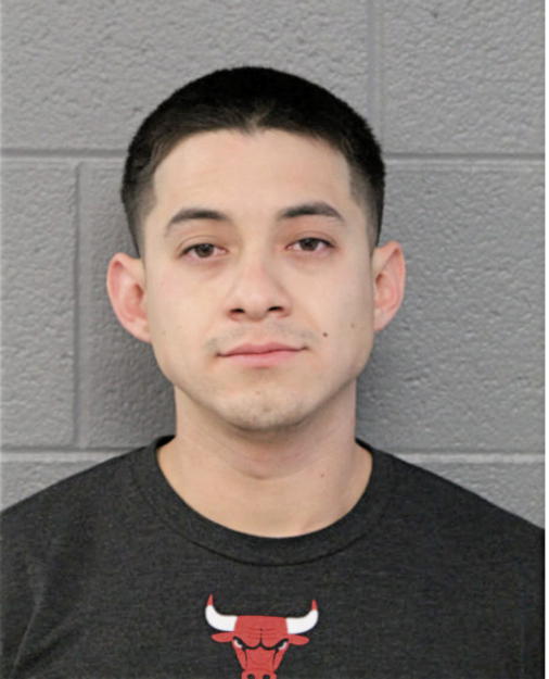 ROBERT LEON JR, Cook County, Illinois