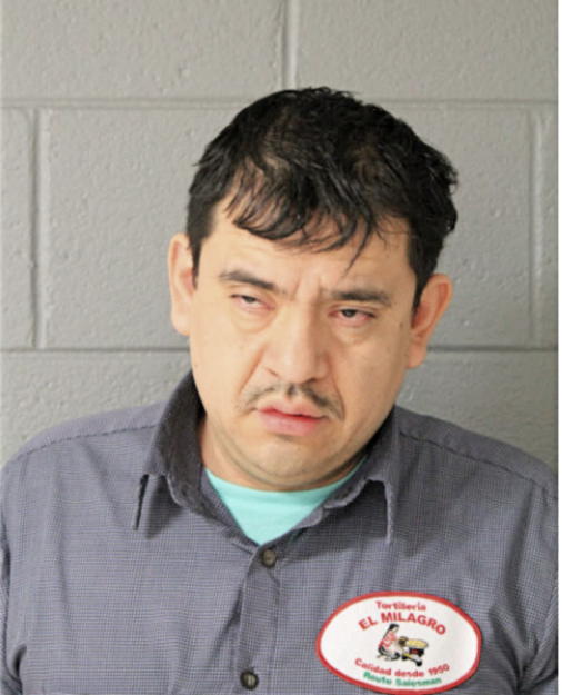VICENTE VERTIN LINARES, Cook County, Illinois