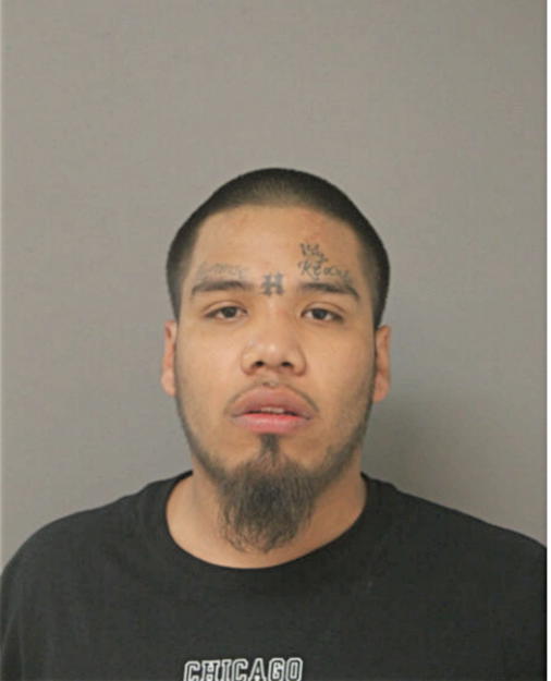 ANTHONY MENDOZA, Cook County, Illinois