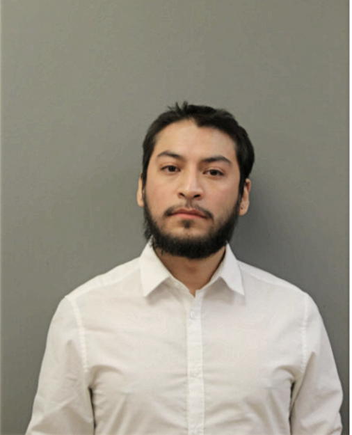 GIOVANNI A PINEDA, Cook County, Illinois