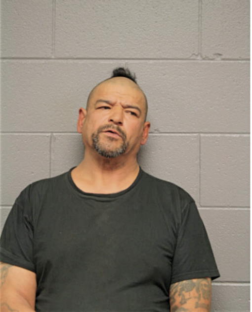 NICHOLAS ORTIZ SALAS, Cook County, Illinois