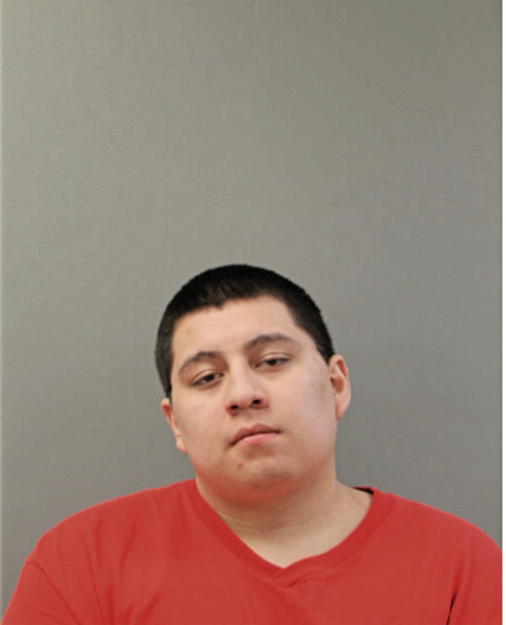 HERNAN SAUCEDO, Cook County, Illinois