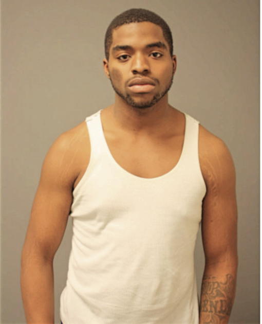 TIMOTHY L WEBSTER, Cook County, Illinois