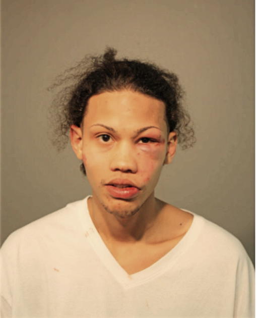 ARIEL PELLOT BERMUDEZ, Cook County, Illinois