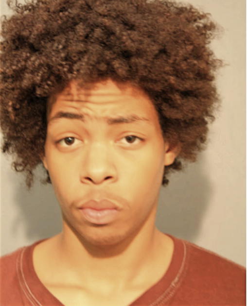 GOBE F BISHOP, Cook County, Illinois