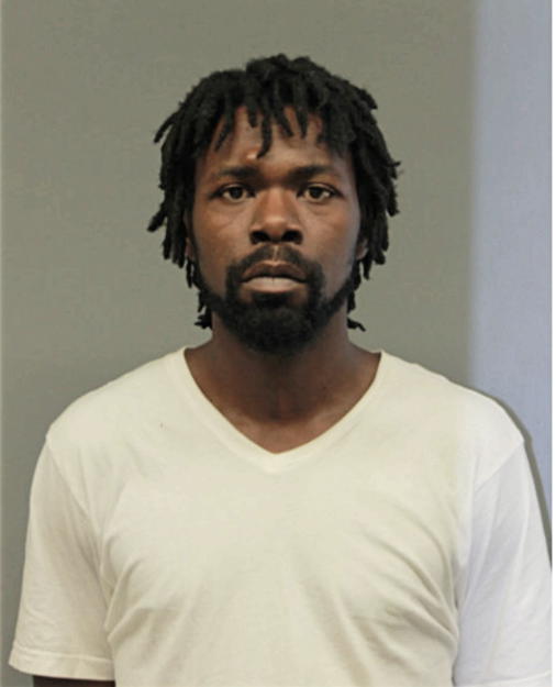 BRIAN L BRIDGES, Cook County, Illinois