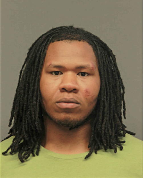 MICHAEL L COBB, Cook County, Illinois