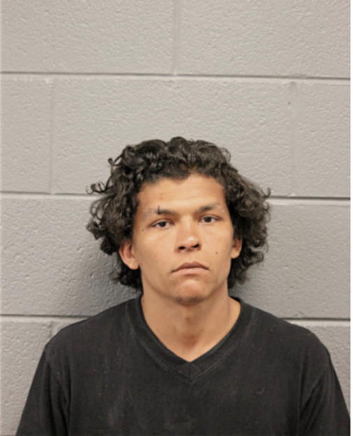 PATRICK MONTGOMERY DIXON, Cook County, Illinois