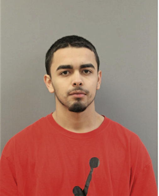 GERARDO FLORES, Cook County, Illinois