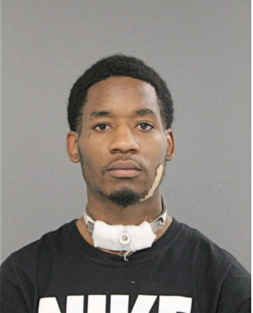 ALLEN J FORD, Cook County, Illinois