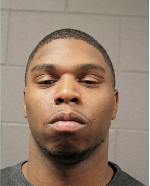 WILLIAM C GEORGE, Cook County, Illinois