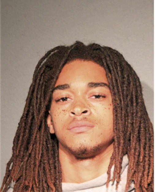TREY G HAMILTON, Cook County, Illinois