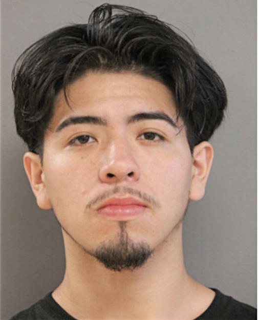 LUIS M LABASTIDA, Cook County, Illinois