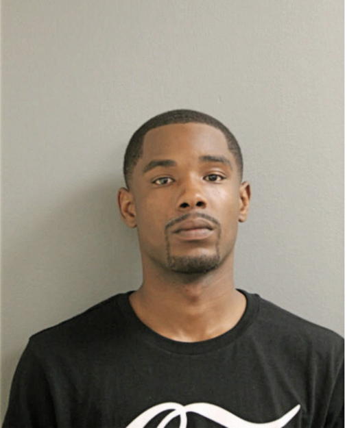 DARRYL L LEE, Cook County, Illinois