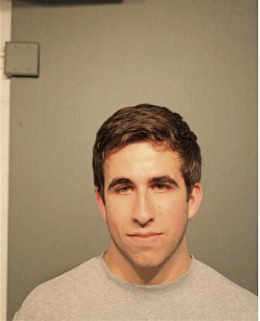 ANDREW CAMERON LEVY, Cook County, Illinois