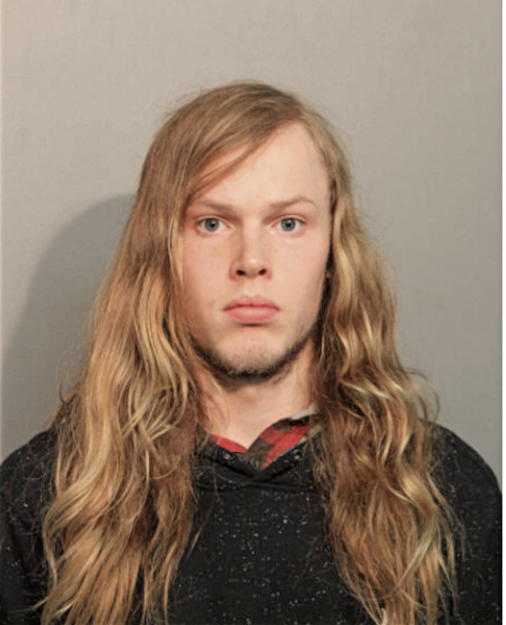 MICHAEL R LINK, Cook County, Illinois