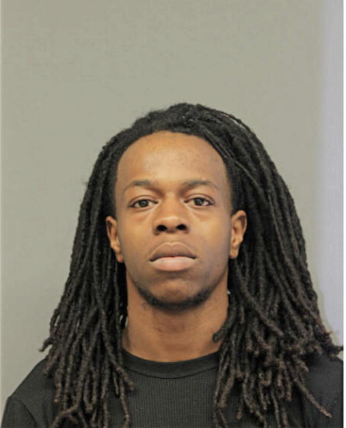 JAMES L LOTT, Cook County, Illinois