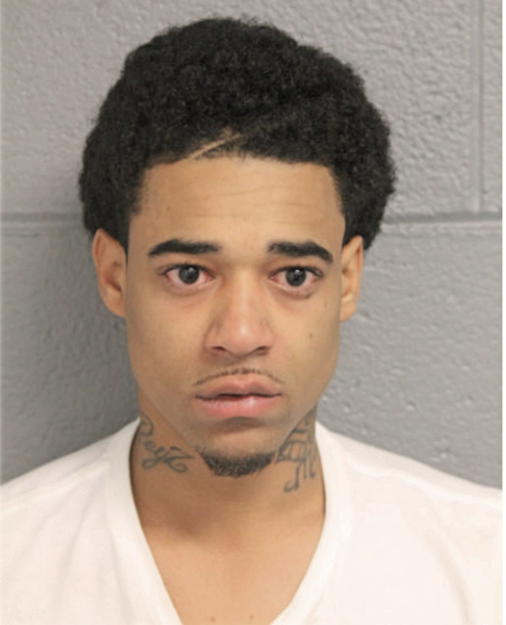 CRAIG O MOORE, Cook County, Illinois