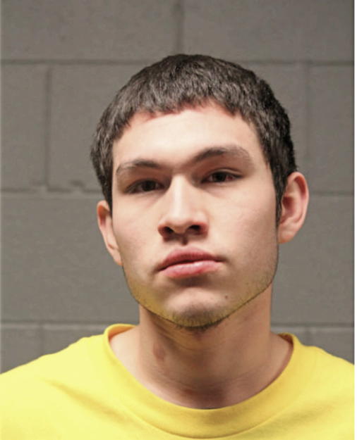 FABIAN OJEDA, Cook County, Illinois