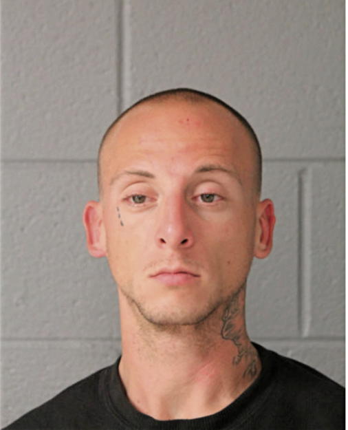 CHRISTOPHER R PRINGLE, Cook County, Illinois
