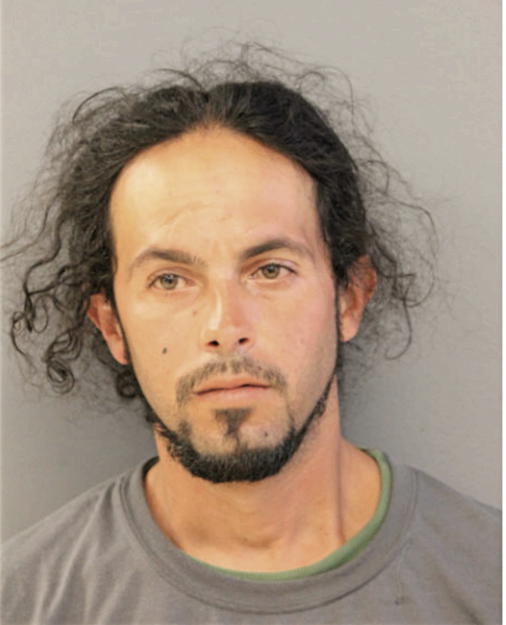 CHRISTIAN J RODRIGUEZ, Cook County, Illinois
