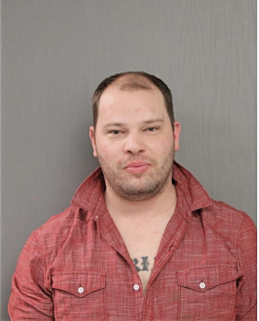 WAYNE E RYDBERG, Cook County, Illinois