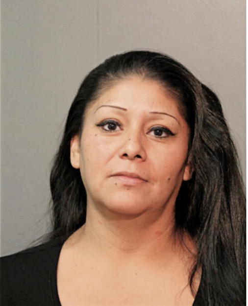 ERICA SALGADO, Cook County, Illinois