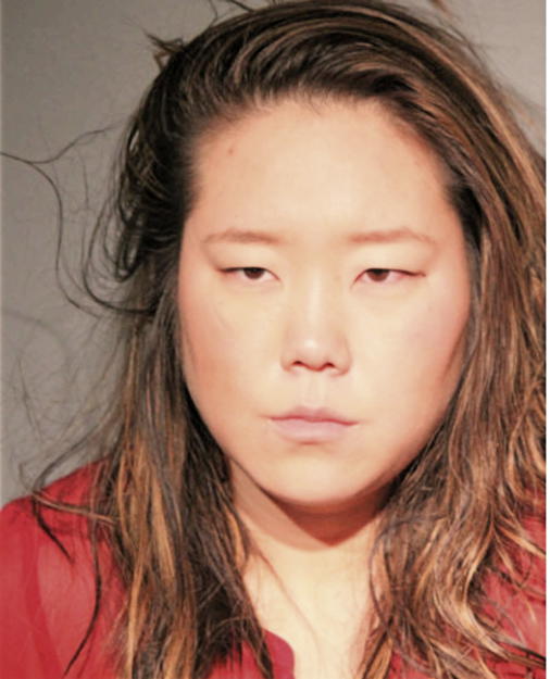 DANIELLA J SHIN, Cook County, Illinois