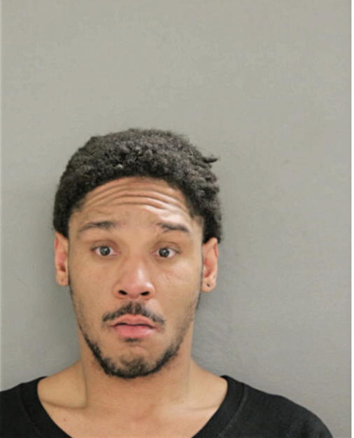 TYRONE L STRICKLAND, Cook County, Illinois