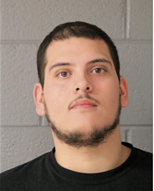 BRYAN R VILLEGAS, Cook County, Illinois