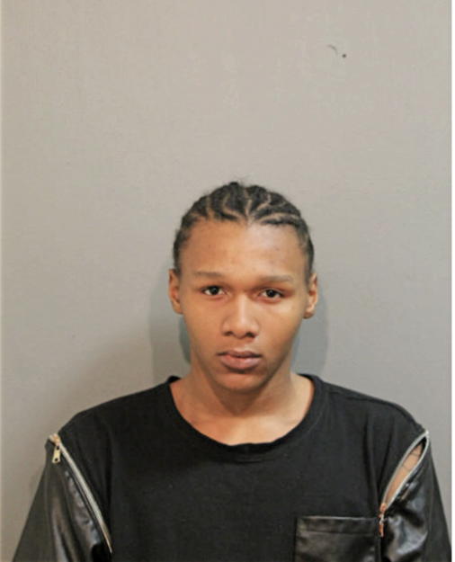 JAIEVION L WATSON, Cook County, Illinois