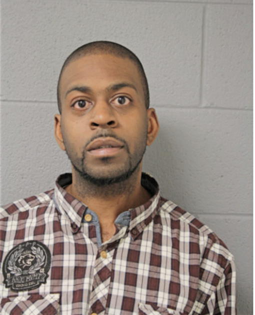 LONNIE A WILSON, Cook County, Illinois
