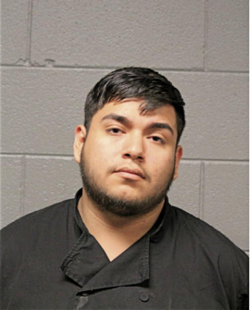 JUAN CARLOS ZETINA, Cook County, Illinois