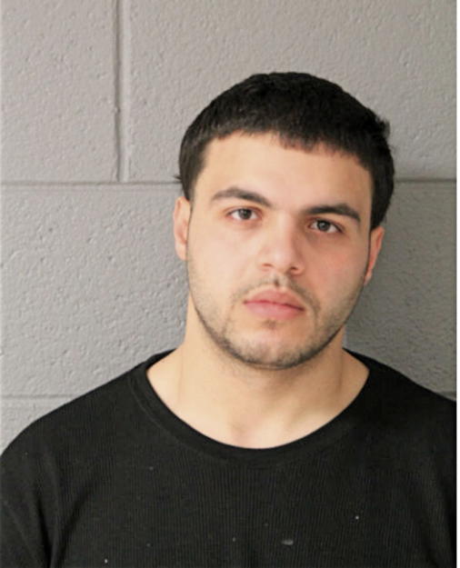 MOHAMMAD T ABUBAKR, Cook County, Illinois