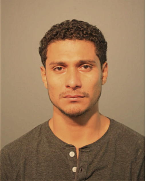 GERMAN ARTAL, Cook County, Illinois