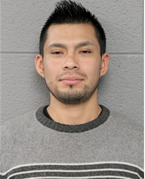 ADRIAN BRAVO, Cook County, Illinois
