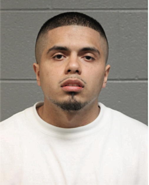 MIGUEL CABRALES, Cook County, Illinois
