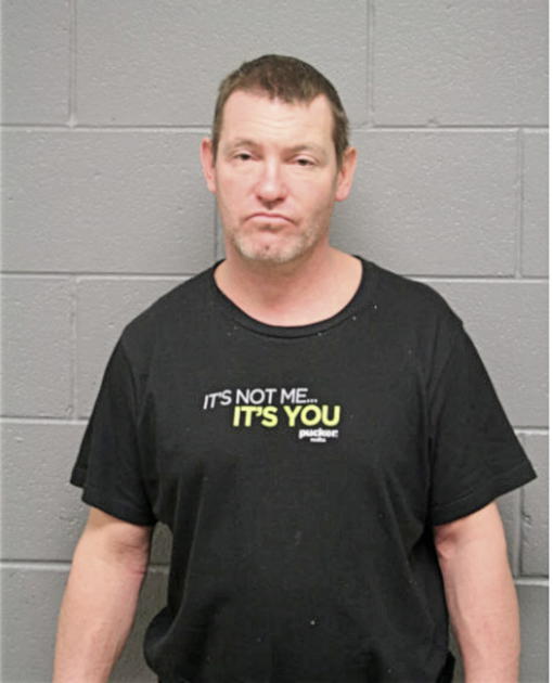 MICHAEL L DAVIS, Cook County, Illinois
