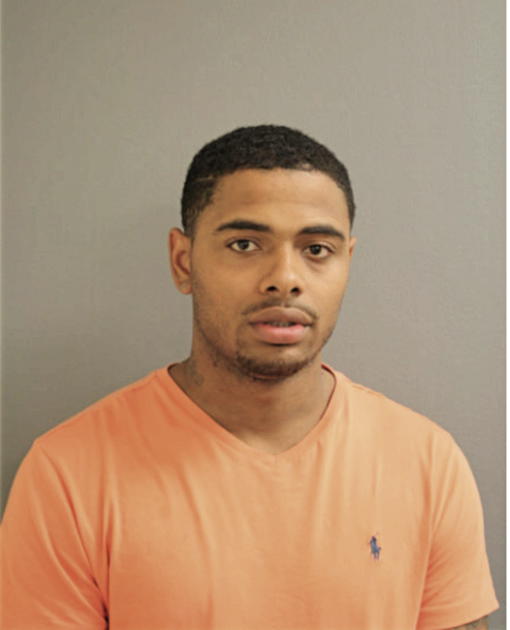 DERRICK D DIXON, Cook County, Illinois