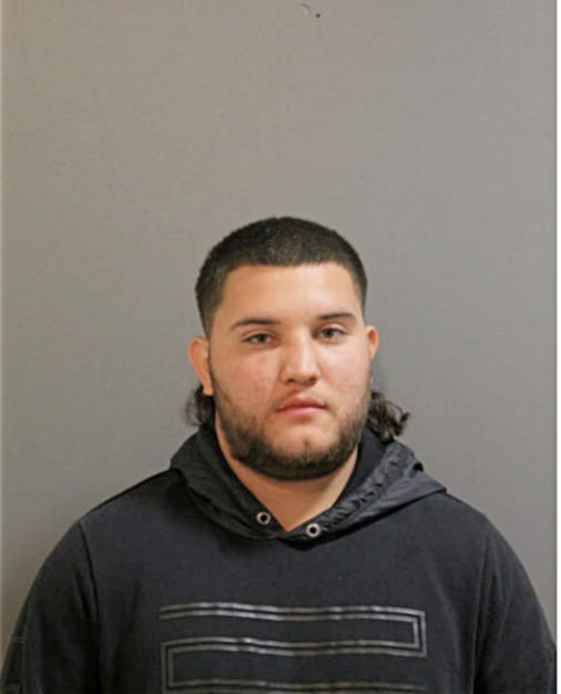 DANIEL J FLORES, Cook County, Illinois