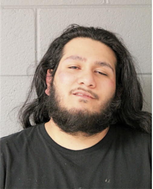 IFRAIN H GALLARDO, Cook County, Illinois
